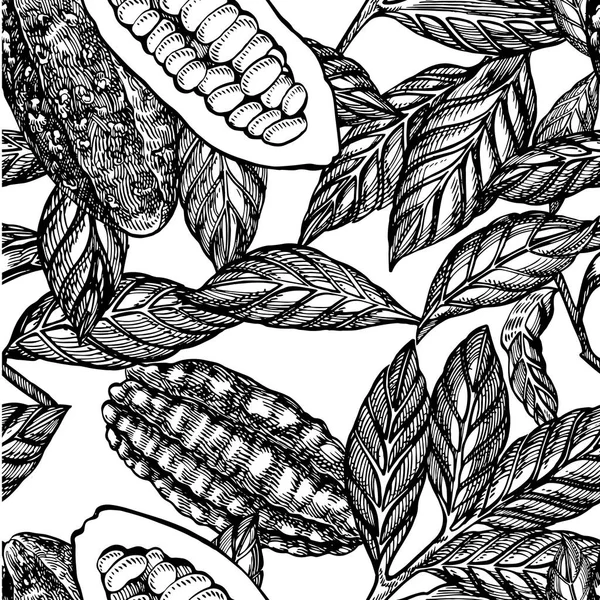 Rama de cacao patrón sin costuras. Ilustración aislada dibujada a mano sobre fondo blanco. Alimento sano ecológico . — Vector de stock