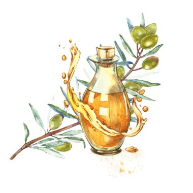 Bir olgun yeşil zeytin yağı ile dökülür sulu dalıdır. Damla ve zeytinyağı sıçraması. Suluboya ve Botanik illüstrasyon izole beyaz arka plan üzerinde.