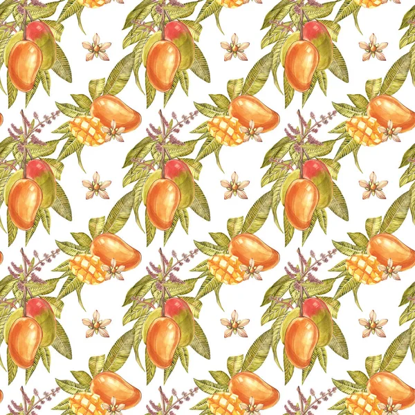Mango árbol vintage patrón sin costuras. Mango Fruta Acuarela ilustración botánica . —  Fotos de Stock