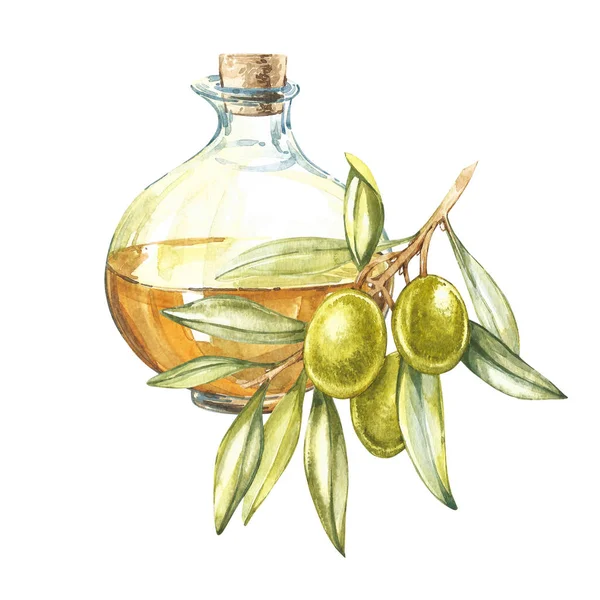 Una rama de aceitunas verdes maduras es jugosa vertida con aceite. Gotas y salpicaduras de aceite de oliva. Acuarela e ilustración botánica aisladas sobre fondo blanco . —  Fotos de Stock