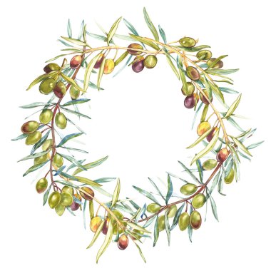 Yuvarlak beyaz zemin üzerine Konfit Siyah ve yeşil zeytin ile sulu boya renkli gerçekçi çelenk. Botanik illüstrasyon.