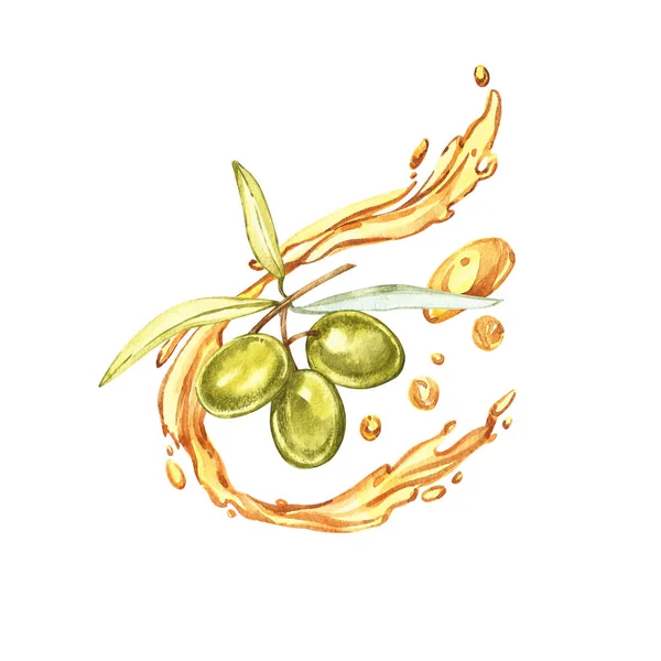 Set Une branche d'olives vertes mûres est juteuse versée avec de l'huile. gouttes et éclaboussures d'huile d'olive. Aquarelle et illustration botanique isolée sur fond blanc . — Photo