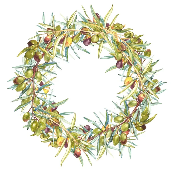 Watercolor colorful realistic wreath with ripe black and green olives on round white background. — Stock Photo, Image