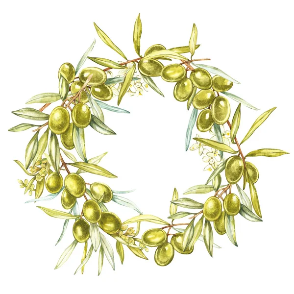 Akvarell färgglada realistiska krans med mogna gröna oliver på rund vit bakgrund. — Stockfoto