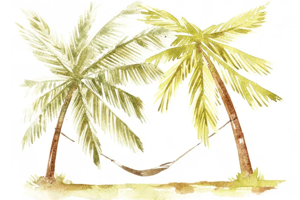 手绘水彩插图棕榈树。棕榈海滩海岸线. — 图库照片