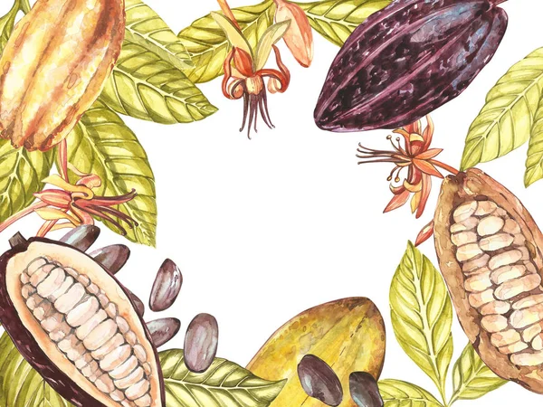 Botanikai illusztráció halmaza. Akvarell kakaó gyümölcs kollekció elszigetelt fehér background. Kézzel rajzolt cacao egzotikus növények. Botanikai kakaó bab keret. Hely a szöveg. — Stock Fotó