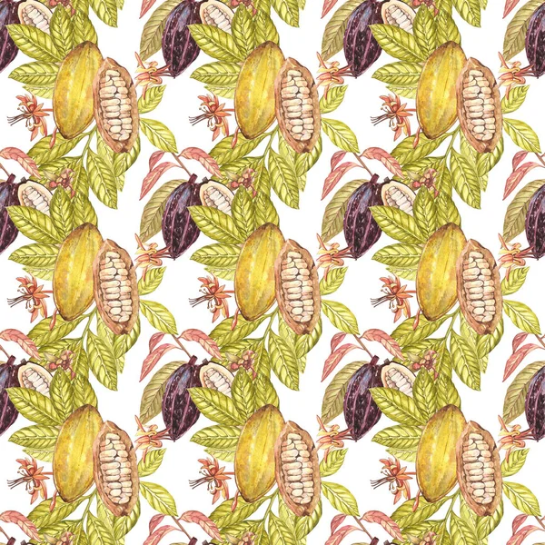 Kakaobönor vintage sömlösa mönster. Cacao akvarell botaniska illustration. — Stockfoto