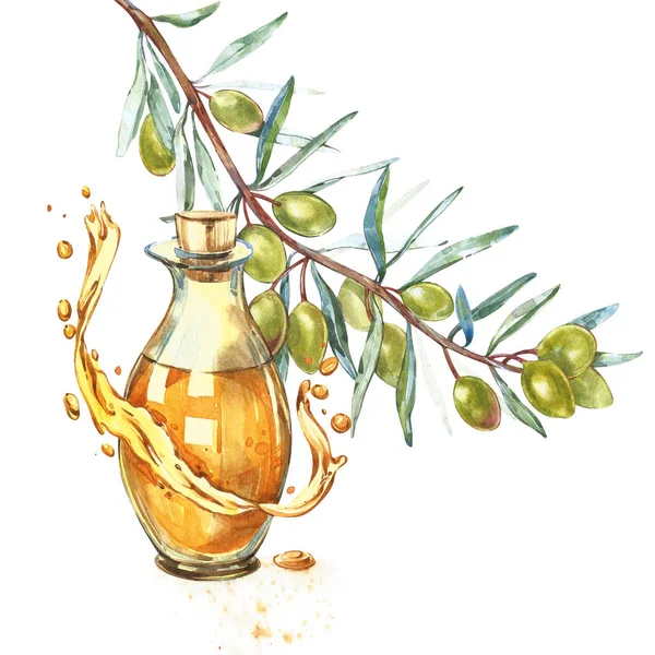 Een tak van rijpe groene olijven is sappig gegoten met olie. DROPS en plonsen van olijfolie. Aquarel en botanische illustraties geïsoleerd op witte achtergrond. — Stockfoto