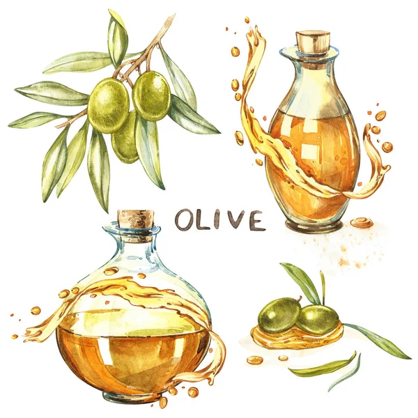 Set Un ramo di olive verdi mature è succoso versato con olio. Gocce e spruzzi di olio d'oliva. Acquerello e illustrazione botanica isolato su sfondo bianco . — Foto Stock