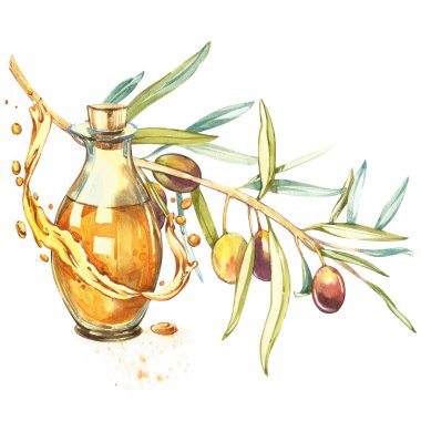 Bir olgun yeşil zeytin yağı ile dökülür sulu dalıdır. Damla ve zeytinyağı sıçraması. Suluboya ve Botanik illüstrasyon izole beyaz arka plan üzerinde.