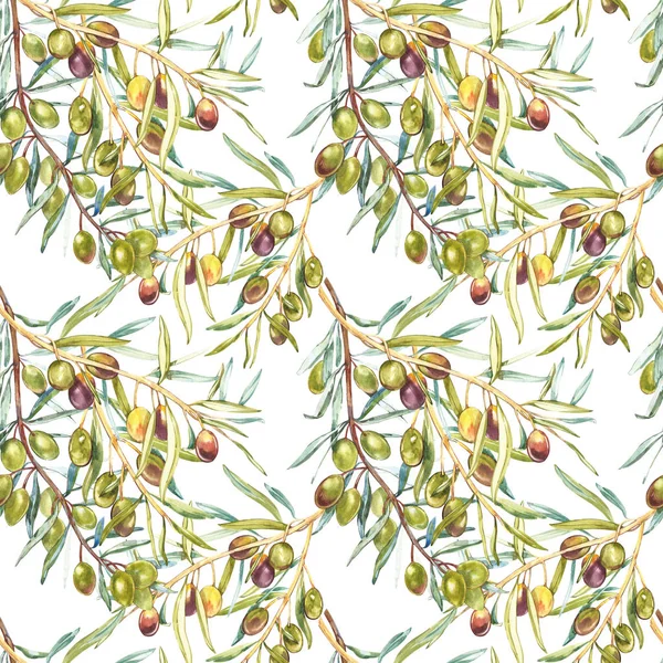 Watercolor seamless pattern with ripe black and green olives on white. Background design for olive oil, natural cosmetics.