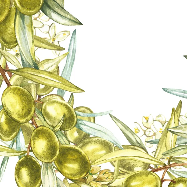 Transparente mit reifen schwarzen und grünen Oliven auf weißem Hintergrund. Design für Olivenöl, Olivenverpackungen, Naturkosmetik, Gesundheitsprodukte. mit Platz für Text. — Stockfoto