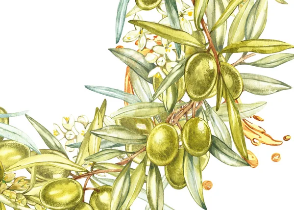 Bandiere orizzontali con olive mature nere e verdi su fondo bianco. Progettazione per olio d'oliva, confezionamento olive, cosmetici naturali, prodotti sanitari. Con posto per il testo . — Foto Stock