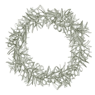 Bir Konfit zeytin yağı ile dökülür sulu dalıdır. Çiftçiler menü tasarımı Pazar. Organik gıda poster. Vintage elle çizilmiş kroki vektör çizim. Doğrusal grafiği.