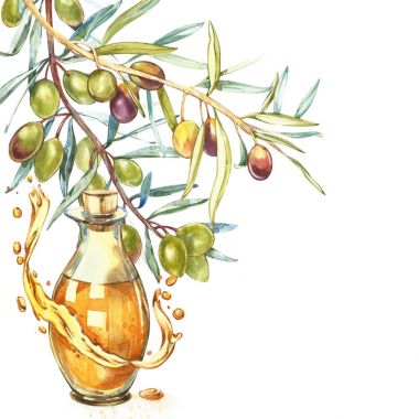Bir olgun yeşil zeytin yağı ile dökülür sulu dalıdır. Damla ve zeytinyağı sıçraması. Suluboya ve Botanik illüstrasyon izole beyaz arka plan üzerinde.