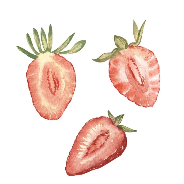 Rote Beere Erdbeere isoliert auf weißem Hintergrund. handgezeichnete Aquarellmalerei Illustration von Beeren. — Stockfoto