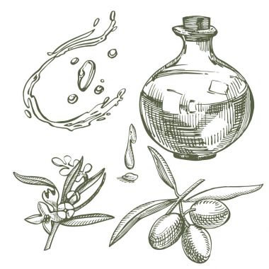 Bir Konfit zeytin yağı ile dökülür sulu dalıdır. Çiftçiler menü tasarımı Pazar. Organik gıda poster. Vintage elle çizilmiş kroki vektör çizim. Doğrusal grafiği.