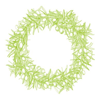 Bir Konfit zeytin yağı ile dökülür sulu dalıdır. Çiftçiler menü tasarımı Pazar. Organik gıda poster. Vintage elle çizilmiş kroki vektör çizim. Doğrusal grafiği.