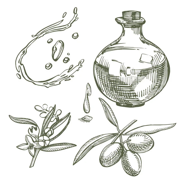 Bir Konfit zeytin yağı ile dökülür sulu dalıdır. Çiftçiler menü tasarımı Pazar. Organik gıda poster. Vintage elle çizilmiş kroki vektör çizim. Doğrusal grafiği.