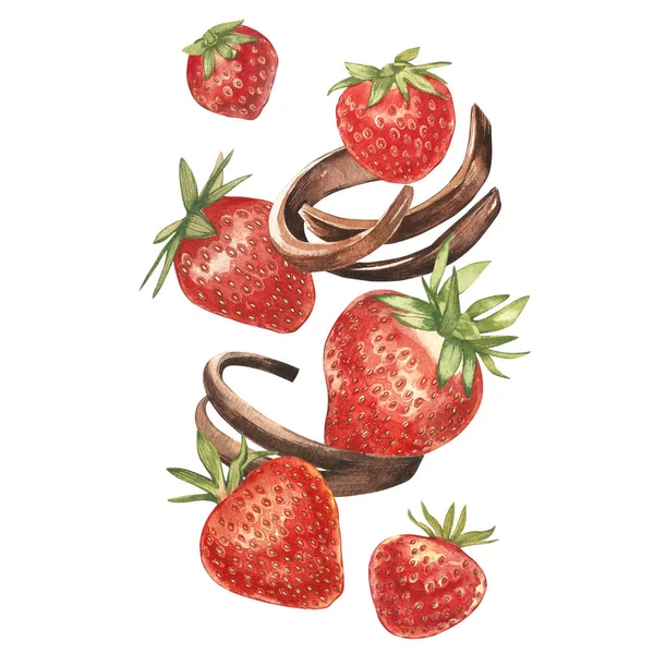 Dojrzałe, jasne czerwone truskawki z kawałkami czekolady. Akwarela malarstwo ilustracja. — Zdjęcie stockowe