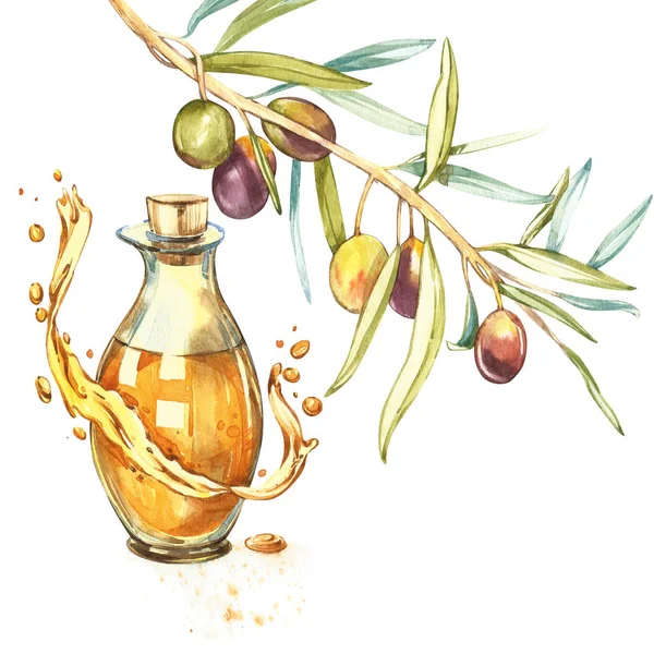 Een tak van rijpe groene olijven is sappig gegoten met olie. DROPS en plonsen van olijfolie. Aquarel en botanische illustraties geïsoleerd op witte achtergrond. — Stockfoto