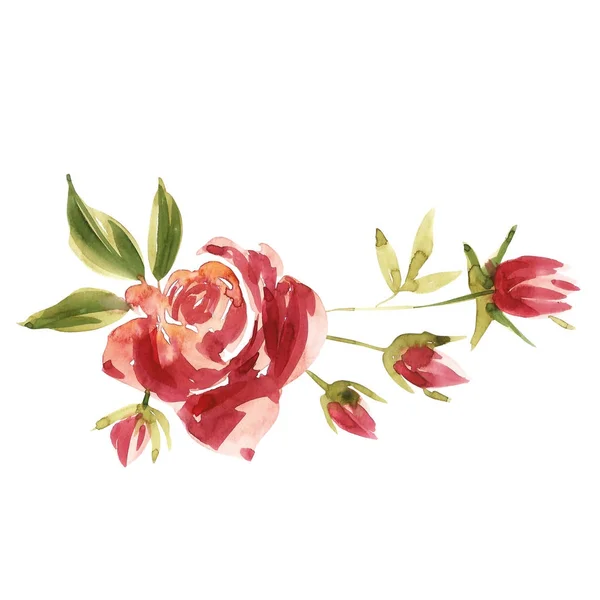 Schattig aquarel handgeschilderde bloemen van rozen. Uitnodiging. Kaart van de bruiloft. Verjaardagskaart. — Stockfoto
