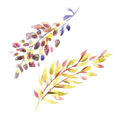 Çiçek yaprakları. Beyaz arka plan üzerinde kartpostal için öğe.