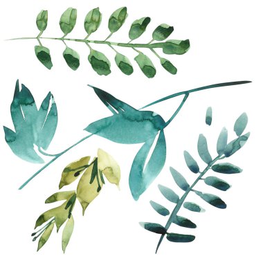 Suluboya çiçek ayarlayın. Yaprakları, suluboya çizim ile renkli yeşil çiçek koleksiyonu. Senin kompozisyon için çiçek öğeleri kümesi.