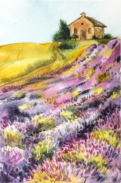 Sabah güneşi bir lavanta alanla manzara üzerinde. Suluboya resim kartpostal, baskı, scrabbuking ve çeşitli arka planlar için. Provence gün batımında. Küçük ev. Bahar ve yaz.