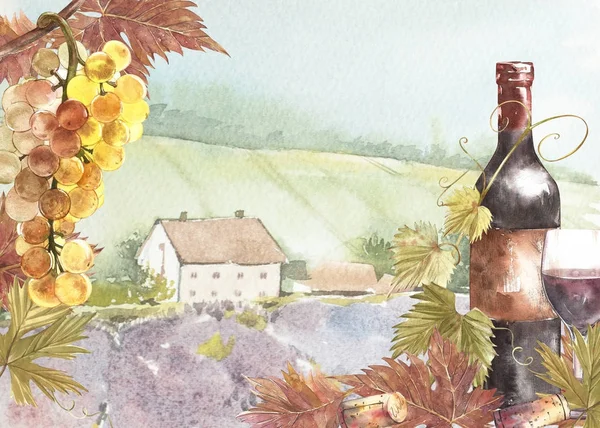 Flaschen und Traubenblätter. Hintergrund ein Lavendelfeld. Aquarell Illustration für Postkarten, Scrabbuking. handgezeichnete Aquarell-Illustration. Banner mit Weinjahrgang Hintergrund. — Stockfoto