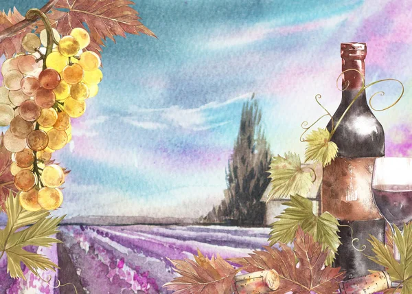 Flessen en bladeren van druiven. Achtergrond met een Lavendel veld. Aquarel illustratie voor postkaarten, scrabbuking. Hand getekend aquarel illustratie. Banners van wijn vintage achtergrond. — Stockfoto