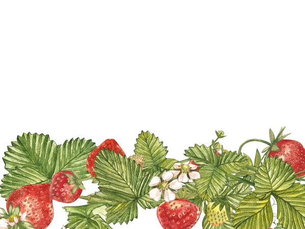 Horizontale Banner mit reifen roten Erdbeeren auf weißem Hintergrund. Design für Verpackungen, Naturkosmetik, Gesundheitsprodukte. mit Platz für Text. — Stockfoto