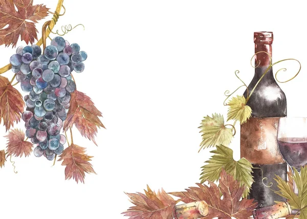 Botellas y copas de vino y hojas de uva, aisladas sobre blanco. Ilustración acuarela dibujada a mano. Banners de fondo vintage de vino . — Foto de Stock