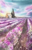 Картина, постер, плакат, фотообои "morning sun over the landscape with a lavender field. watercolor illustration for postcards, printing, scrabbuking and various backgrounds. provence at sunset. small house. spring and summer.", артикул 178055822