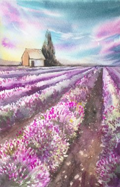 Sabah güneşi bir lavanta alanla manzara üzerinde. Suluboya resim kartpostal, baskı, scrabbuking ve çeşitli arka planlar için. Provence gün batımında. Küçük ev. Bahar ve yaz.