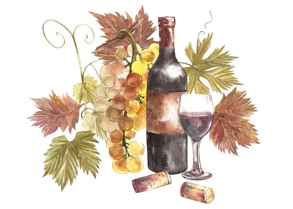 Botellas y copas de vino y surtido de uvas, aisladas sobre blanco. Acuarela dibujada a mano ilustración . — Foto de Stock