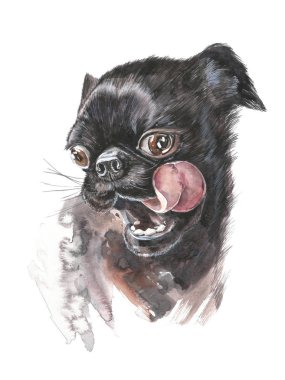 Köpek suratı yuvarlak gözlü şaşırtıcı. Köpek siyah Fransız buldozer. Grafik portre köpek, el illüstrasyon çizimi. Beyaz bir arka plan üzerinde izole suluboya. Gerçekçi tarzda çizim.