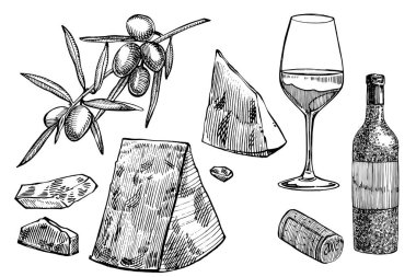 Vektör asma ürünlerin ayarlayın. İllüstrasyon kroki tarzı. Elle çizilmiş tasarım öğeleri. Beyaz arka plan üzerinde izole. Gravür tarzı resimler.