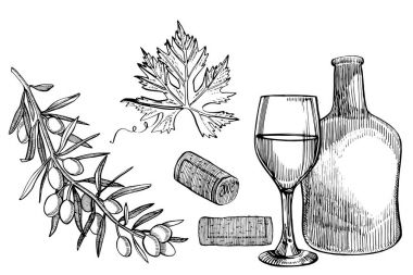 Vektör asma ürünlerin ayarlayın. İllüstrasyon kroki tarzı. Elle çizilmiş tasarım öğeleri. Beyaz arka plan üzerinde izole. Gravür tarzı resimler.