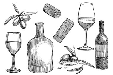 Vektör asma ürünlerin ayarlayın. İllüstrasyon kroki tarzı. Elle çizilmiş tasarım öğeleri. Beyaz arka plan üzerinde izole. Gravür tarzı resimler.