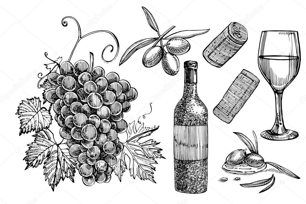 Vector set of vine products. Illustration in sketch style. Hand drawn design elements. Isolated on white background. Engraving style illustrations.