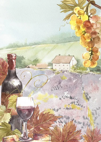 葡萄的瓶子和叶子。背景与薰衣草领域。水彩插图为明信片, scrabbuking。手绘水彩插图。葡萄酒背景横幅. — 图库照片