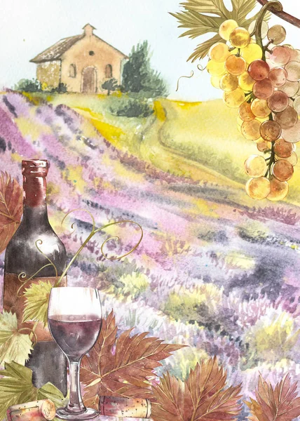 Flessen en bladeren van druiven. Achtergrond met een Lavendel veld. Aquarel illustratie voor postkaarten, scrabbuking. Hand getekend aquarel illustratie. Banners van wijn vintage achtergrond. — Stockfoto