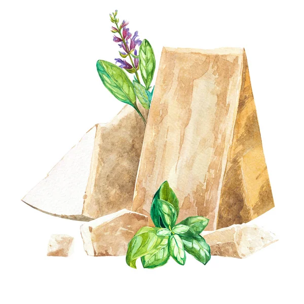 Aardbei bladeren met bloemen en rijpe bessen. Heldere samenstelling van een aardbei struik. Hand getrokken aquarel illustratie. — Stockfoto