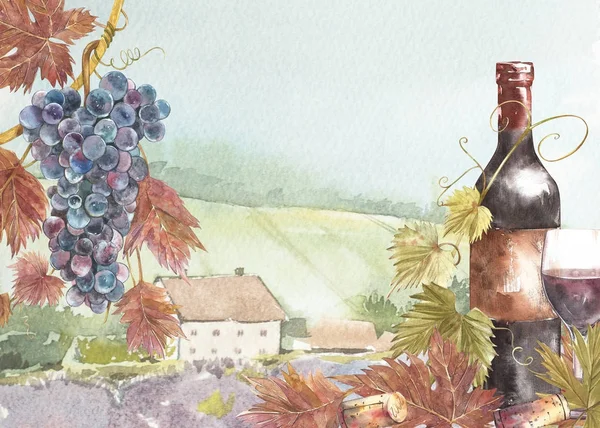 Bouteilles et feuilles de raisins. Fond avec un champ de lavande. Illustration aquarelle pour cartes postales, scrabbuking. Illustration aquarelle dessinée à la main. Bannières de fond vintage de vin . — Photo