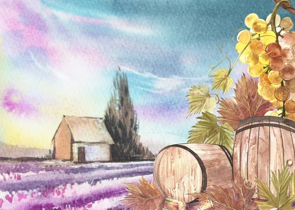 Träfat och blad av druvor. Bakgrund med ett lavendelfält. Akvarell illustration för vykort, scrabbuking. Hand dras akvarell illustration. Fanor av vin vintage bakgrund. — Stockfoto