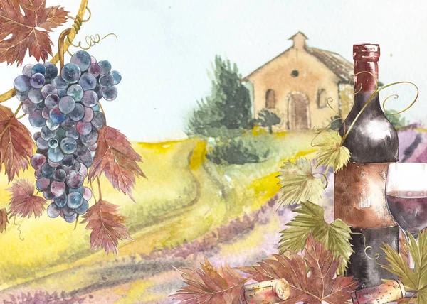 Bottles and leaves of grapes. Background with a lavender field. Watercolor illustration for postcards, scrabbuking. Hand drawn watercolor illustration. Banners of wine vintage background. — Stock Photo, Image