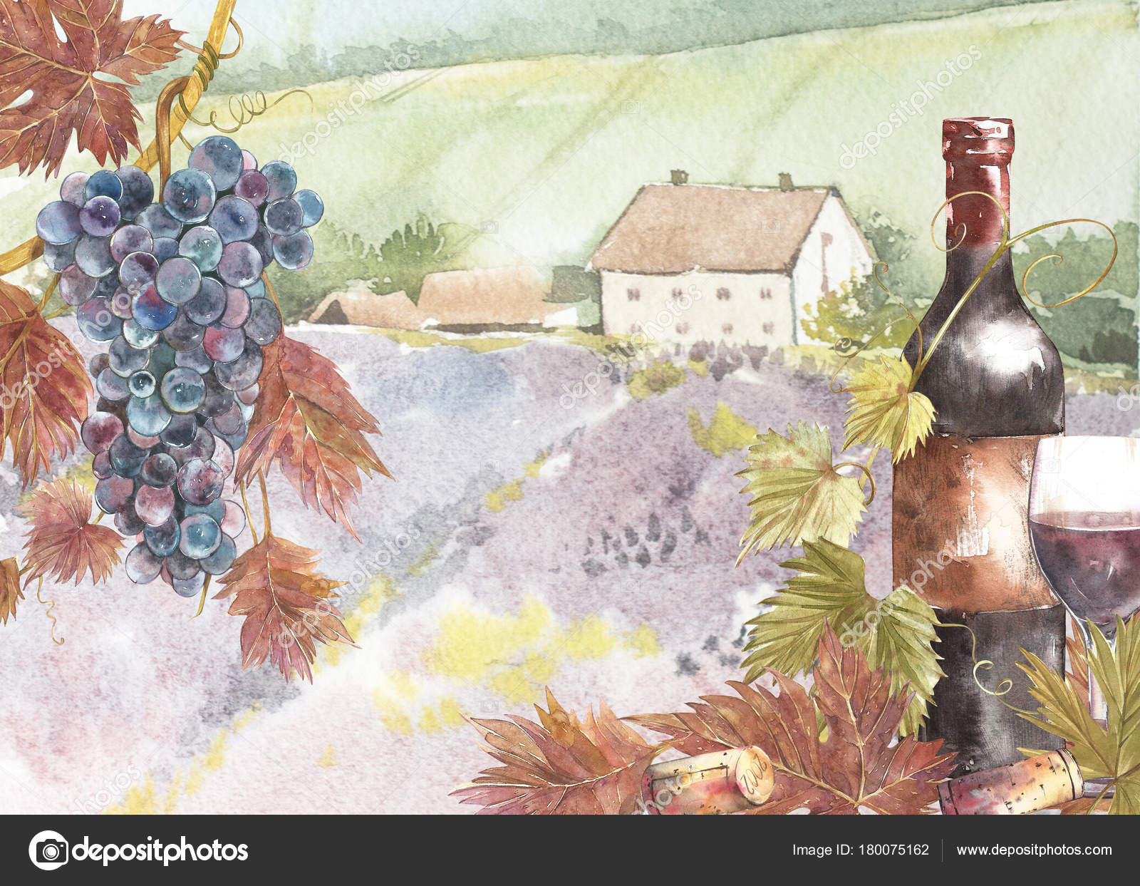 Risultati immagini per vino in bottiglia e sfondi di paesaggio immagini in jpg