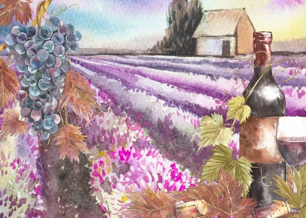 ボトルとブドウの葉。ラベンダー畑との背景。ポストカード、scrabbuking の水彩画のイラスト。手描き水彩イラスト。ワインのヴィンテージ背景のバナー. — ストック写真