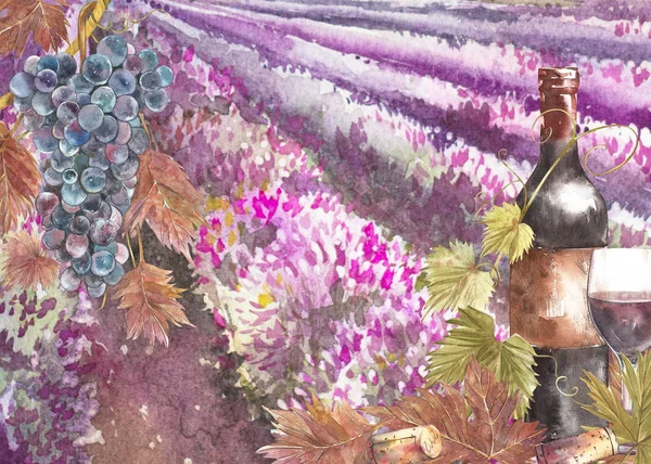 Garrafas e folhas de uvas. Fundo com um campo de lavanda. Ilustração aquarela para cartões postais, scrabbuking. ilustração aquarela desenhada à mão. Banners de fundo do vinho vintage . — Fotografia de Stock